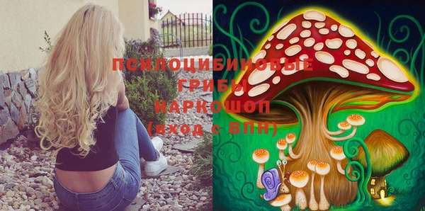 Альфа ПВП Дегтярск
