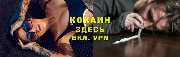 дмт Дубна