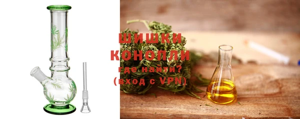 дмт Дубна