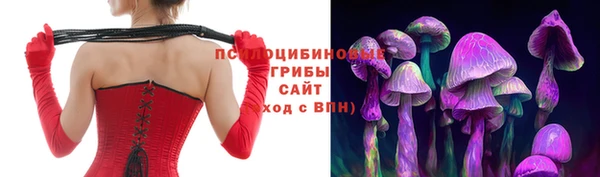 дмт Дубна
