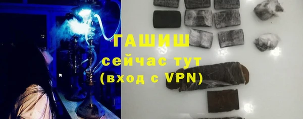 прущие грибы Дрезна