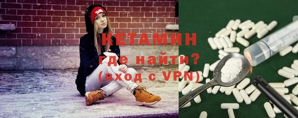 дмт Дубна