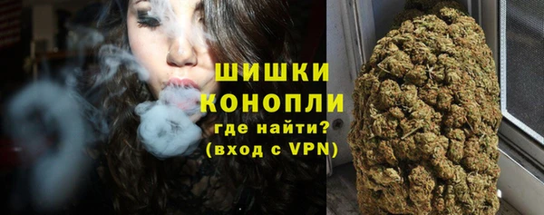 прущие грибы Дрезна
