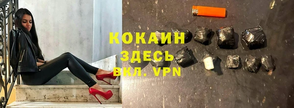 прущие грибы Дрезна
