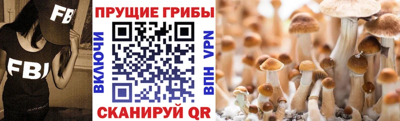 мега сайт  Коряжма  Псилоцибиновые грибы GOLDEN TEACHER 