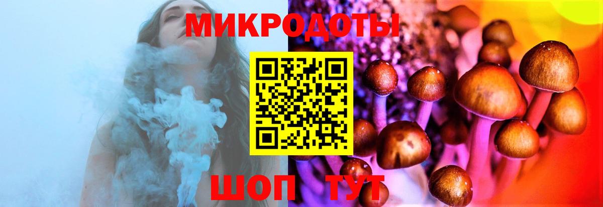 Коряжма  Псилоцибиновые грибы мухоморы  Вход с VPN  Галлюциногенные грибы Magic Shrooms 